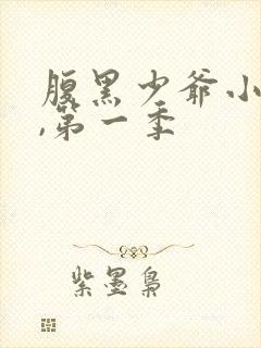 腹黑少爷小甜妻,第一季