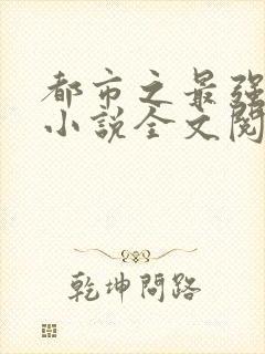 都市之最强狂兵小说全文阅读免费