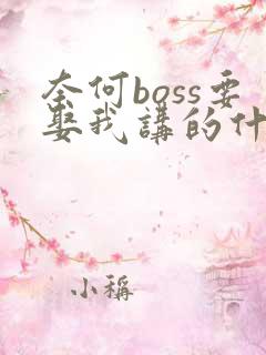 奈何boss要娶我讲的什么