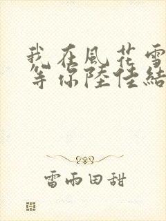 我在风花雪月里等你陆佳结局