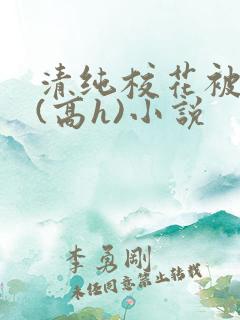 清纯校花被调教(高h)小说