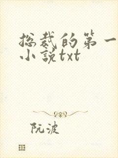 总裁的第一名媛小说txt