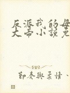 反派我的母亲是大帝小说免费阅读