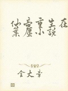 仙帝重生在都市叶尘小说