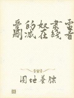 爱的奴隶电影无删减在线看