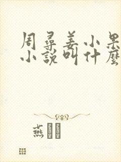 周寻姜小果原著小说叫什么名字