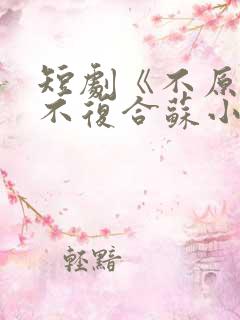 短剧《不原谅,不复合苏小姐独美》