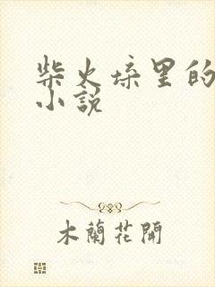 柴火垛里的疯狂小说