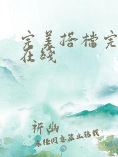 完美搭档完整版在线