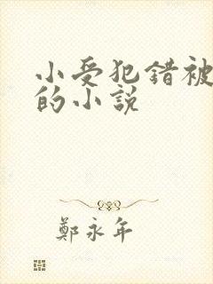 小受犯错被教训的小说