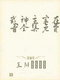 武神主宰在线观看全集免费高清播放