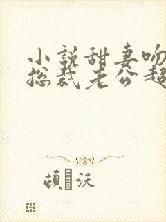 小说甜妻吻安:总裁老公超棒的