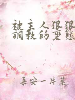 被主人狠狠玩弄调教的变态小说