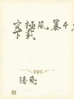 究极风暴4免费下载