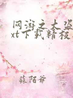 网游之大盗贼txt下载精校版