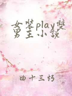 女装play双男主小说
