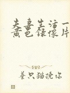 夫妻生活一级特黄色录像片