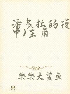 潘多拉的复仇(中)主角