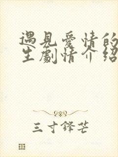 遇见爱情的利先生剧情介绍全集