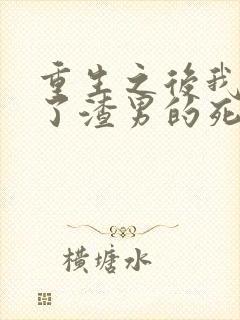 重生之后我嫁给了渣男的死对头