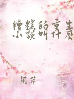 糟糕的重生原著小说叫什么