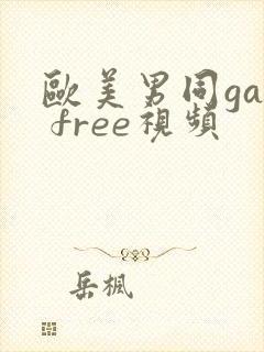 欧美男同gay free视频