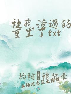 被我渣过的男主重生了txt