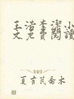 王浩李洁小说全文免费阅读