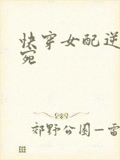 快穿女配逆袭宁宛