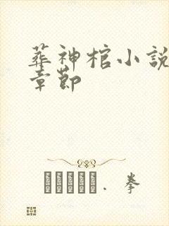 葬神棺小说全部章节