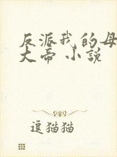 反派我的母亲是大帝 小说