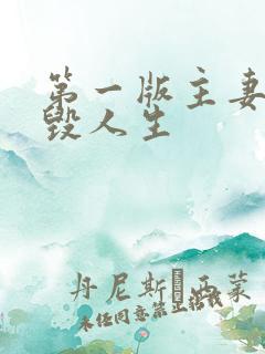 第一版主妻殇崩毁人生