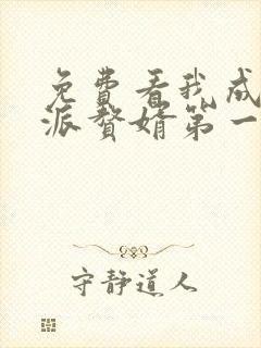 免费看我成为反派赘婿第一季