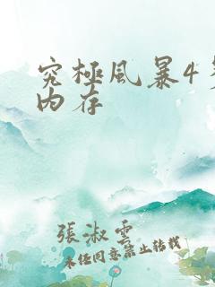 究极风暴4多少内存