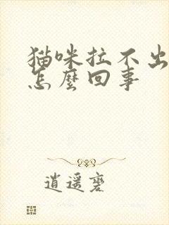 猫咪拉不出尿是怎么回事