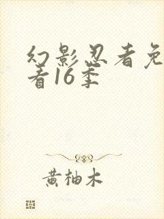 幻影忍者免费观看16季