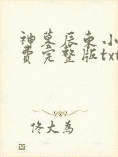 神墓辰东小说免费完整版txt