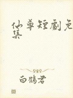 仙尊短剧免费全集