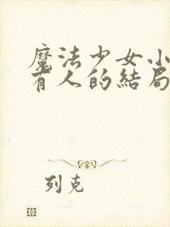 魔法少女小圆所有人的结局