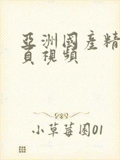 亚洲国产精品黄页视频