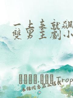 一上来就飙车的双男主剧小说