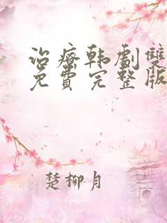 治疗韩剧双男主免费完整版