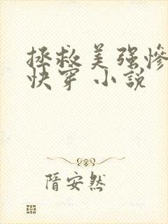 拯救美强惨反派快穿 小说