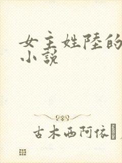 女主姓陆的现代小说