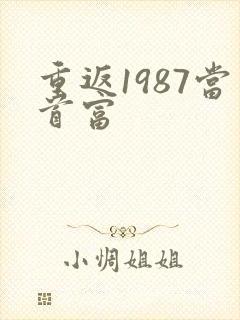 重返1987当首富