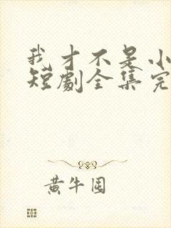 我才不是小可怜短剧全集完整版