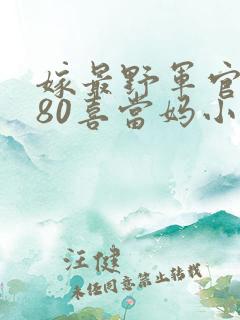 嫁最野军官我在80喜当妈小说阅读