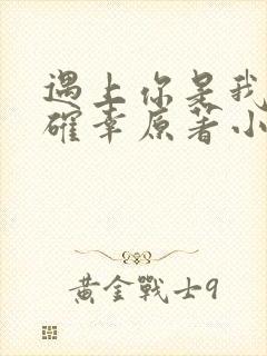 遇上你是我的小确幸原著小说