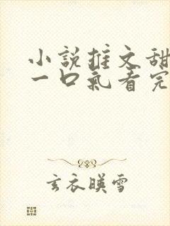 小说推文甜宠文一口气看完