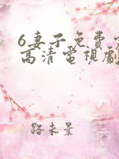 6妻子免费完整高清电视剧在线看